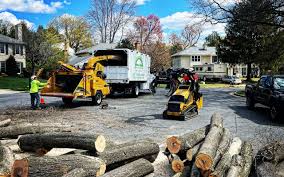 Best Tree Disease Treatment  in Lam, AR